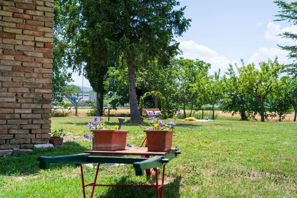 Casale Passalacqua Pesaro By Yohome La Torraccia Exterior foto